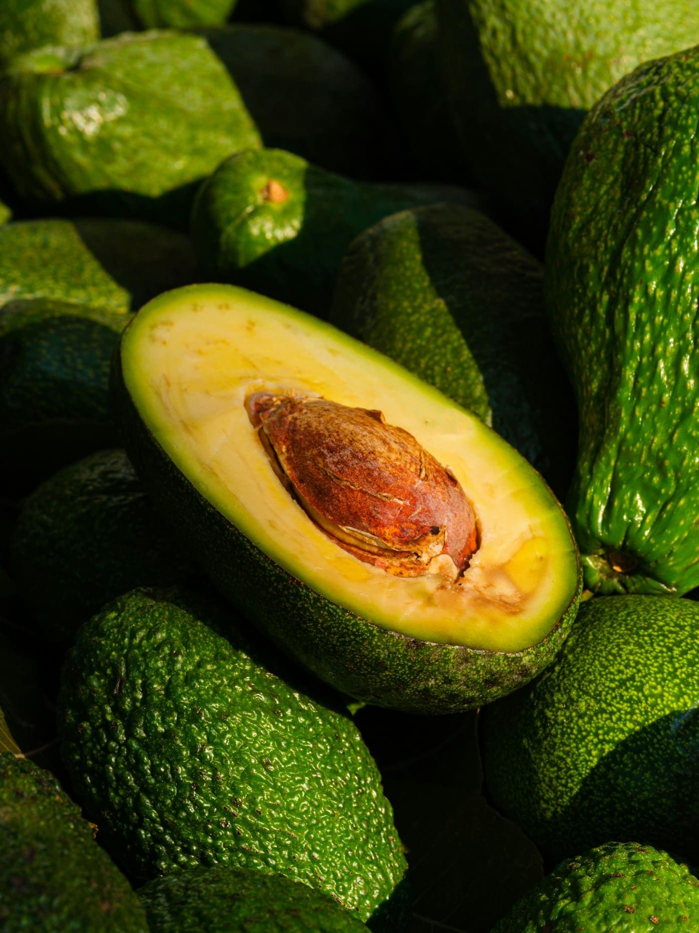 Halved avocado on a pile of whole avocados