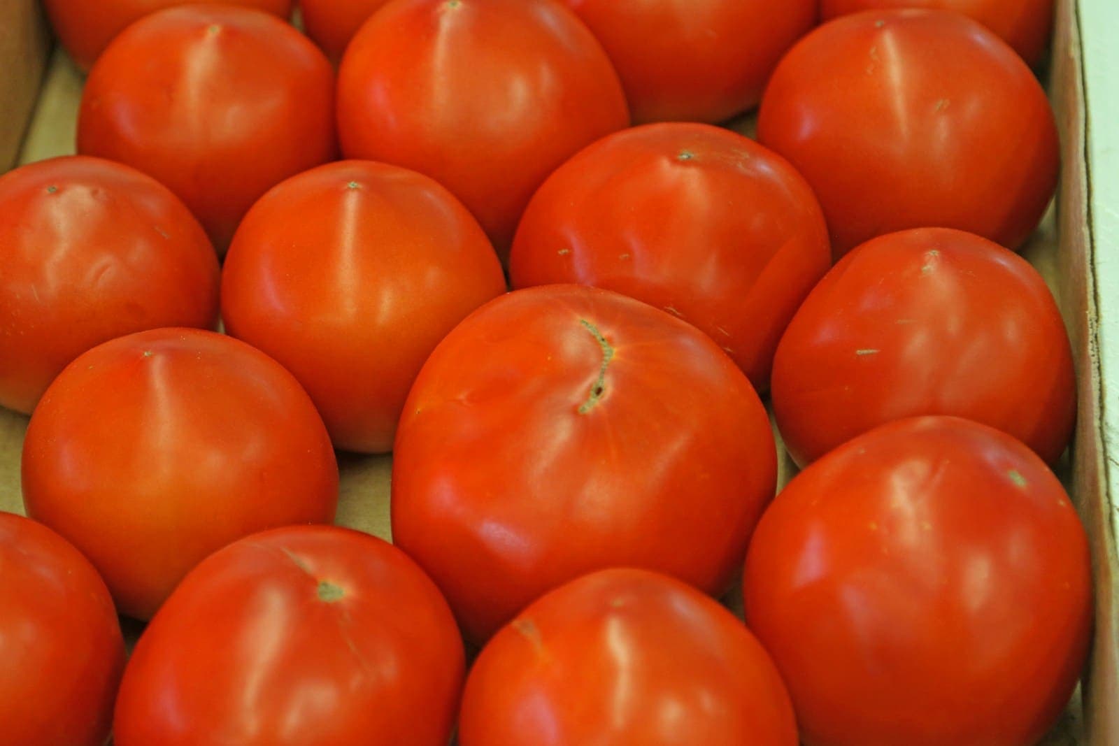 Crate of ripe tomatoes ready for delivery
