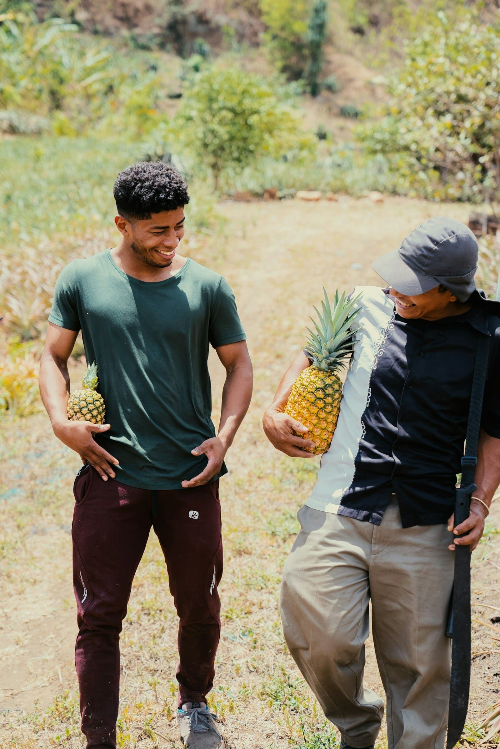 Two farmers holding freshly harvested pineapples