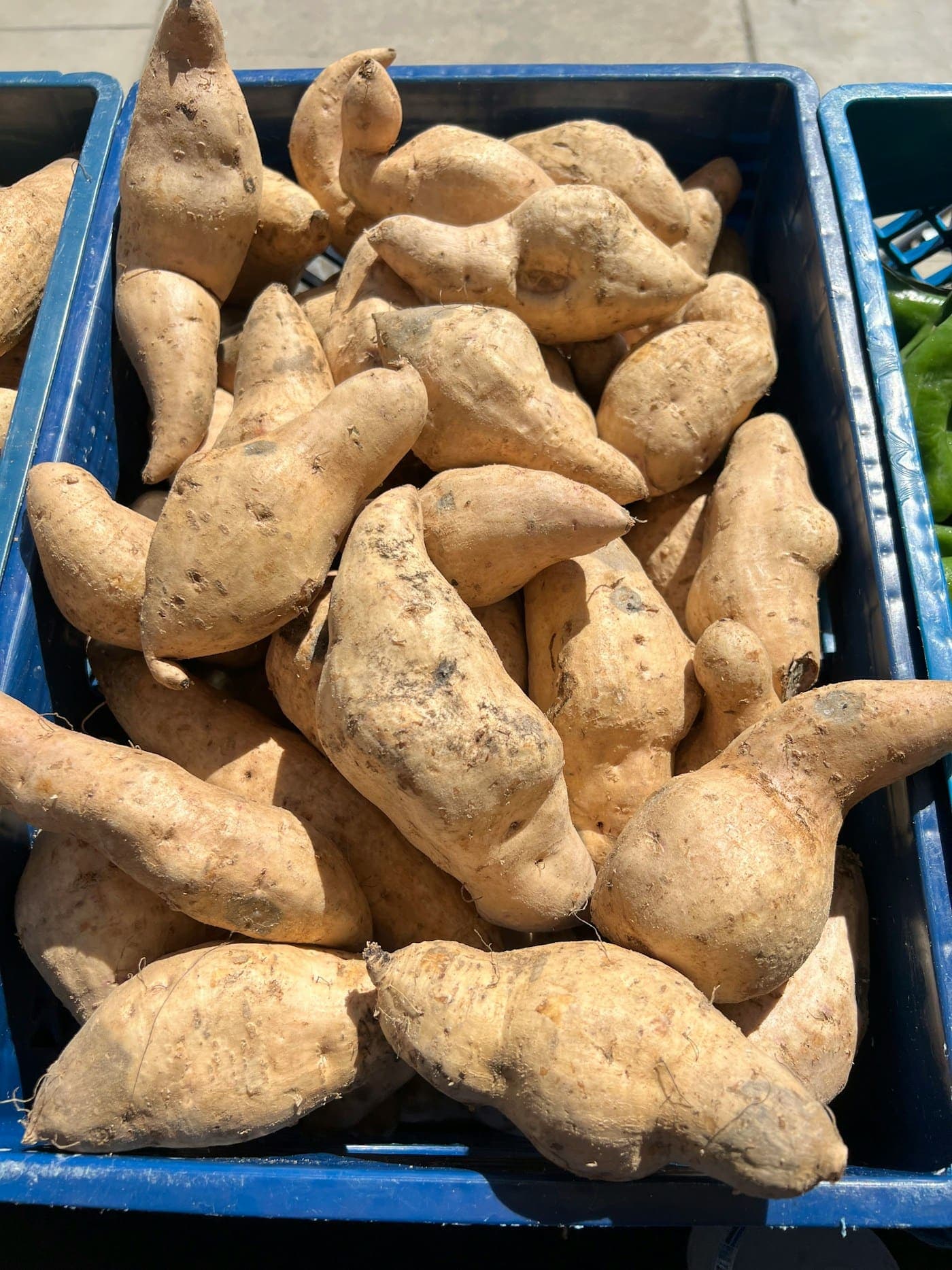 Crate of light brown sweet potatoes