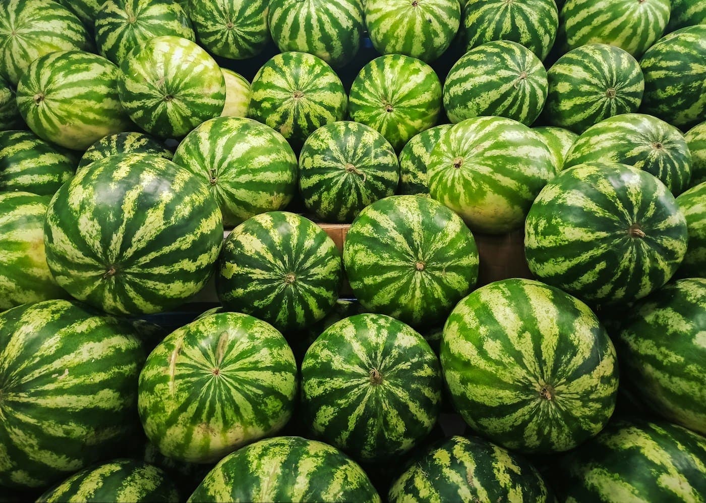 Pile of striped watermelons